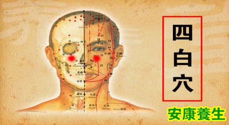 四白穴