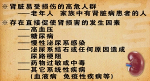 养生堂视频:李晓玫讲肾脏疾病,尿毒症,慢性肾病 腰疼与肾脏疾的关系