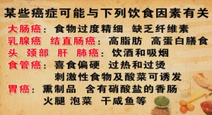养生堂视频:陈超刚讲食物与癌症的关系 预防癌症的食物 膳食纤维的主要功能