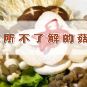 养生堂视频和笔记:陈超刚讲菇类食物 菇类食物与降压的关系