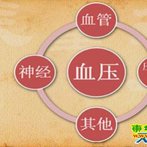 养生堂20130623 张抒扬：勺型血压、晨峰高血压、体位性低血压、慢性便秘等方面的内容
