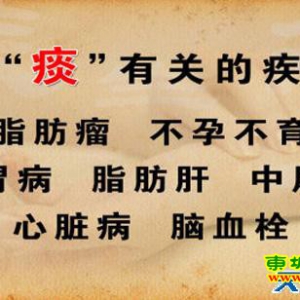养生堂20130621程凯：讲解痰邪、痰湿瘀阻、健脾化痰 二陈汤配方