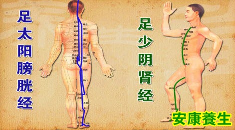 足太阳膀胱经