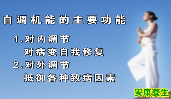 自调机能的功能