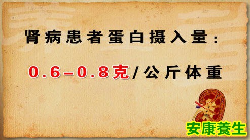 肾病患者的蛋白摄入量