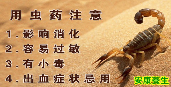 虫药的注意事项