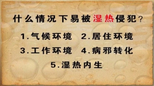 养生堂20130220视频:冯兴华讲湿热邪气和气候的关系、湿邪和风湿病的关系、风湿病的舌  ...