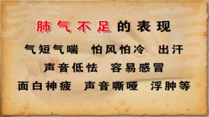 养生堂20130206视频:高荣林,饶向荣讲调养肺气的方法、肺气不足的明显特征、调肺饮的组 ...
