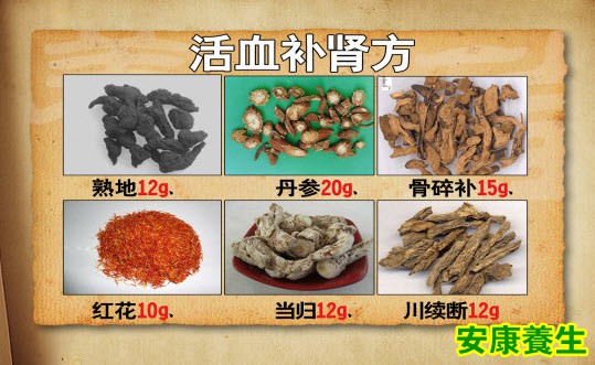 活血补肾方