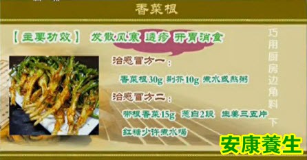 香菜根的用法