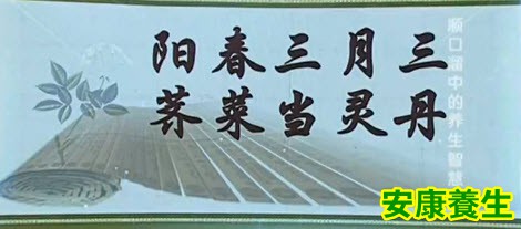 荠菜更适合春天吃