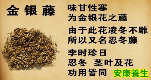 金银藤的功效