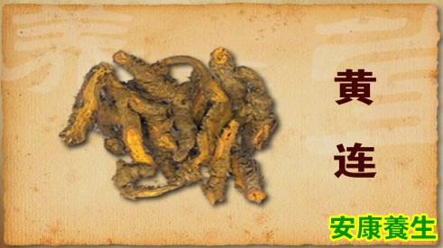 黄连是凉的、清热解毒的