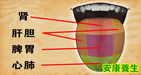 通过舌态判断体内疾病