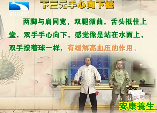 太极下三元手心向下桩