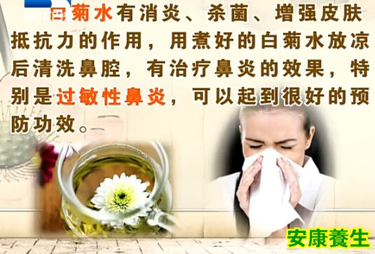 白菊煮水治疗过敏性鼻炎