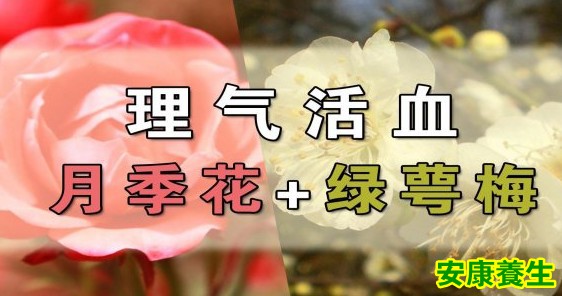 理气活血的花