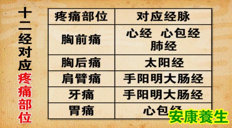 十二经对应的疼痛位置