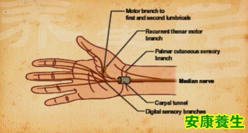易损伤尺神经的姿势