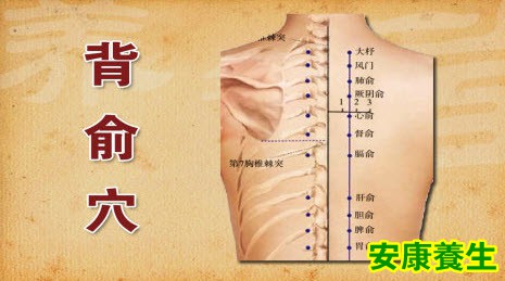 背俞穴
