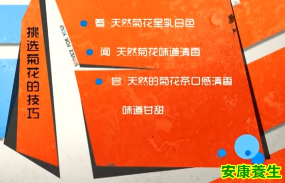 挑选菊花的技巧