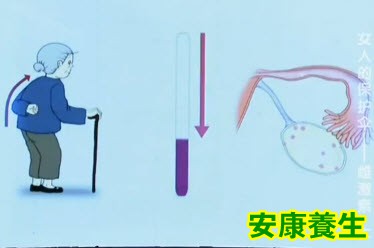 年轻女性雌激素过少会提前变老