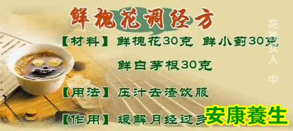 鲜槐花调经方