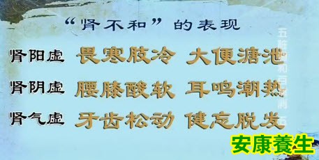 肾不和常见表现