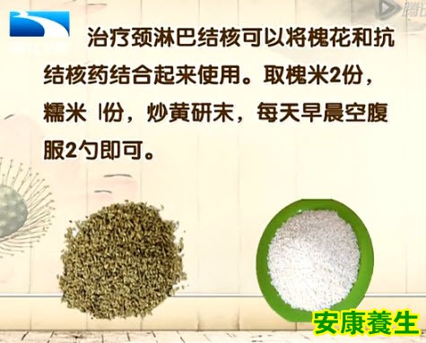 槐花治疗颈淋巴结核