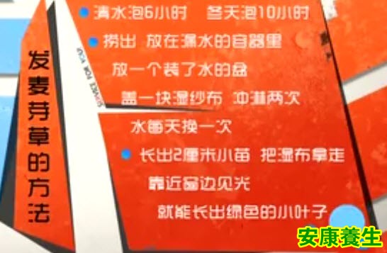 发麦芽草的方法