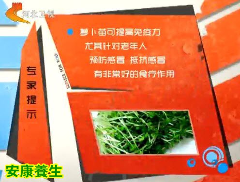 萝卜苗的食疗功效