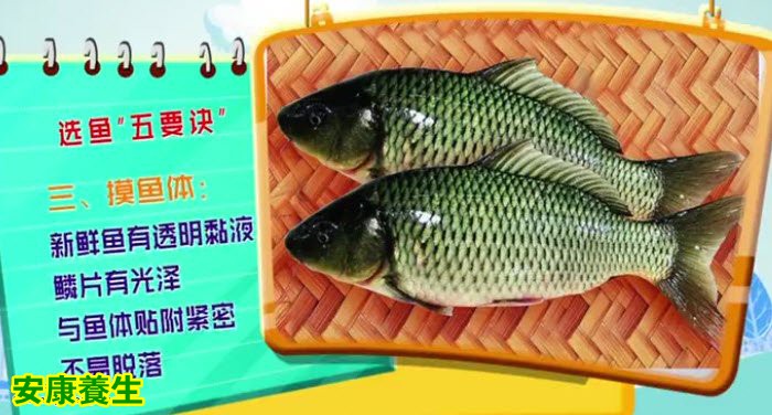 挑选鱼的窍门