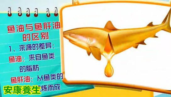鱼油不等于鱼肝油
