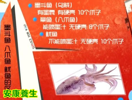 韭菜炒墨鱼的制作方法