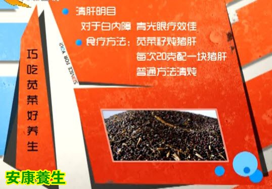 红苋与白苋的养生功效不同