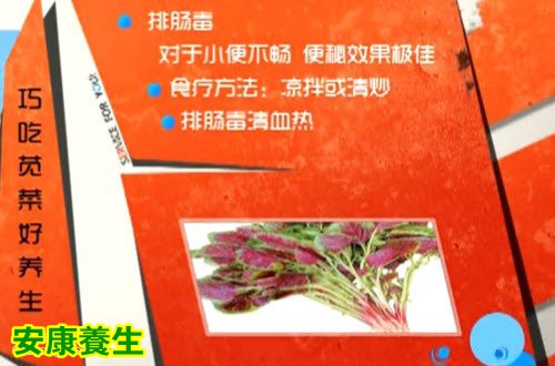 红苋与白苋的养生功效不同