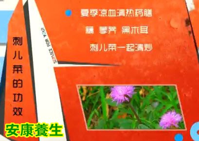 刺菜是味好中药，入药叫小蓟