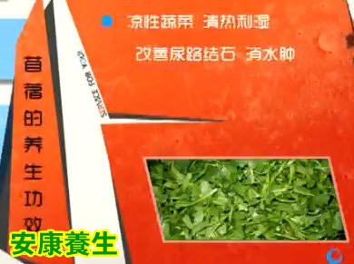 苜蓿的养生功效