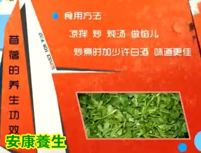 苜蓿的养生功效