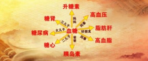 养生堂20170309《揭秘三高朋友圈-高血糖》高血糖该如何区分