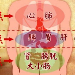 养生堂20170925饶旺福、于振宣《通调水道补三焦》