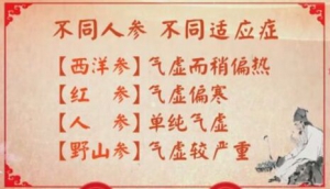养生堂20171021《巧用名药延寿年》人参、鹿茸的挑选与鉴别