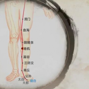 20220331健康之路,付国兵,脾经,胃经,湿邪,调脾胃,通经活络