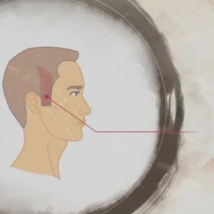 20220402健康之路,付国兵,胆经,湿热,期门穴,居髎穴,环跳穴,膝阳关