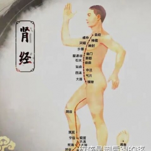 20220403健康之路,付国兵,腰腿酸软,小便淋沥,肾经,太溪穴,横骨穴