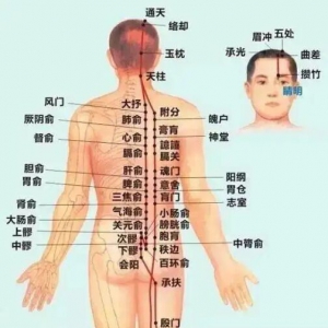 20220404健康之路,付国兵,膀胱经,百会穴,八髎穴,阳虚,阳痿,早泄,瘀堵