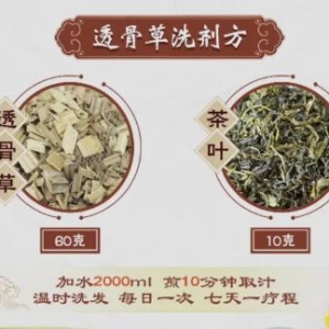 20220525健康之路,张景明,干性脱发,油性脱发,斑秃,精血亏虚