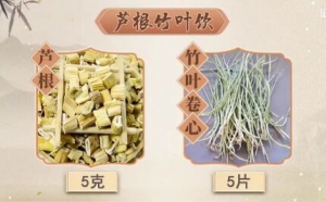 20220721健康之路,张景明,节气养生,夏至养生,粽子,芦根竹叶饮