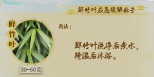 20220731健康之路,孙丽蕴,晒伤,青蒿,薄荷,蚊虫叮咬,鲜竹叶,青蒿渣,青蒿水