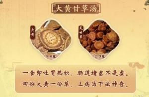 20220910健康之路,陈明,经方,反酸,烧心,呕吐,半夏干姜散,大黄甘草汤,大黄黄连泻心汤